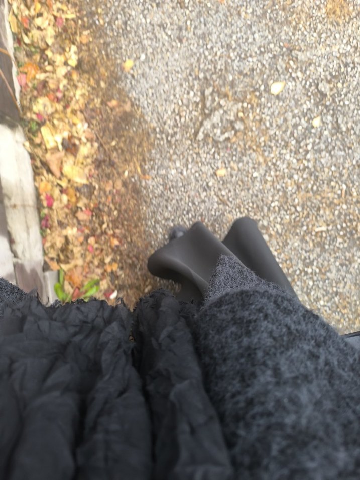 Siyah kısa kaban - Görsel 3