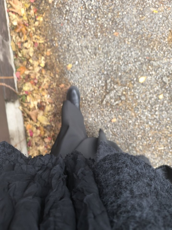 Siyah kısa kaban - Görsel 4