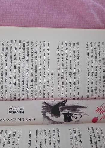 Beden Güzel Kaybettik - Caner Yaman Kitap