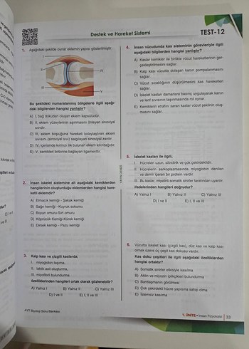  Beden YAYIN DENİZİ AYT BİYOLOJİ SORU BANKASI YKS