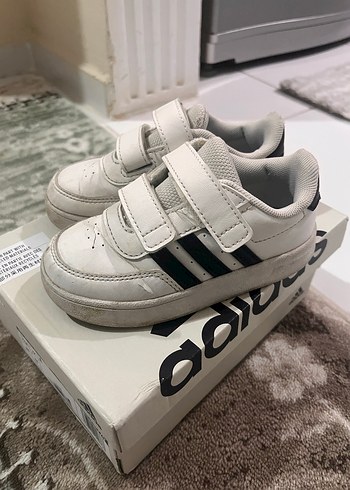 Adidas 24