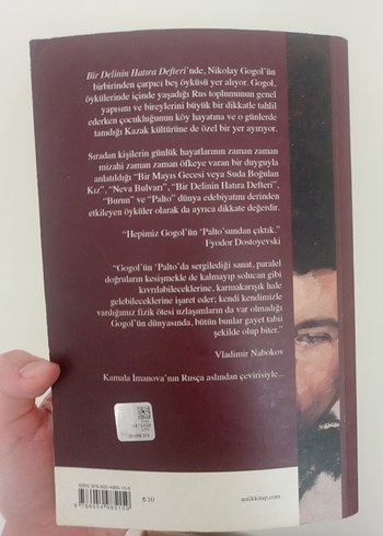 Nikolay Gogol - Bir Delinin Hatıra Defteri - Görsel 2