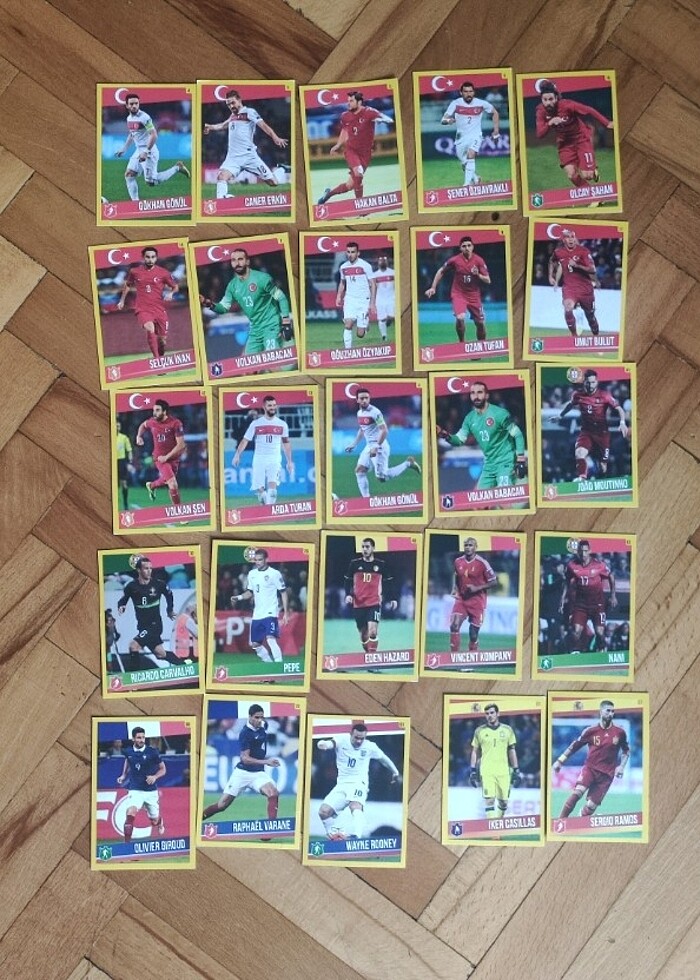 Panini Milli Takım  - Görsel 4