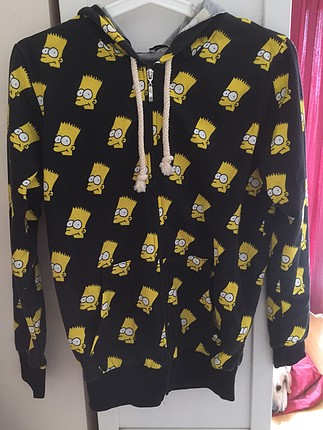 m Beden Simpsons Hirka