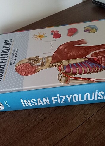 Erdal Ağar,İnsan fizyolojisi