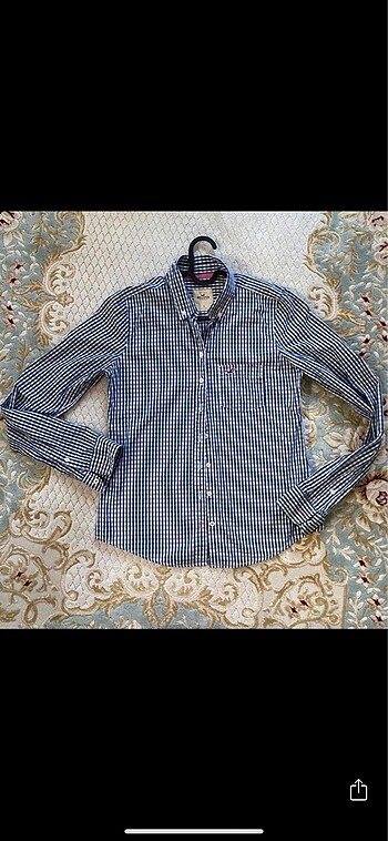 Hollister orijinal