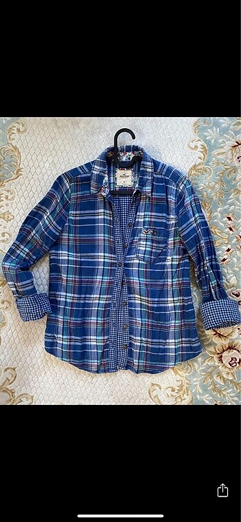 Hollister orijinal
