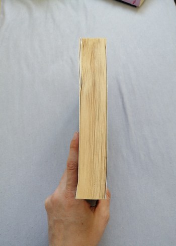 Abdülhamid'in Kurtlarla Dansı - Mustafa Armağan - Görsel 3