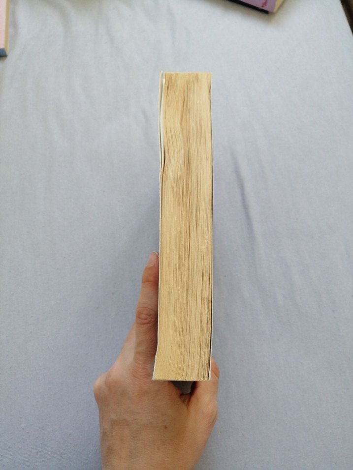 Abdülhamid'in Kurtlarla Dansı - Mustafa Armağan - Görsel 3