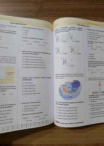 AYT biyoloji soru Bankası - Görsel 4