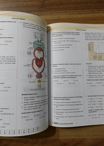 AYT biyoloji soru Bankası - Görsel 3