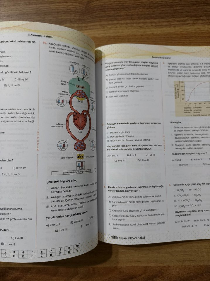 AYT biyoloji soru Bankası - Görsel 3