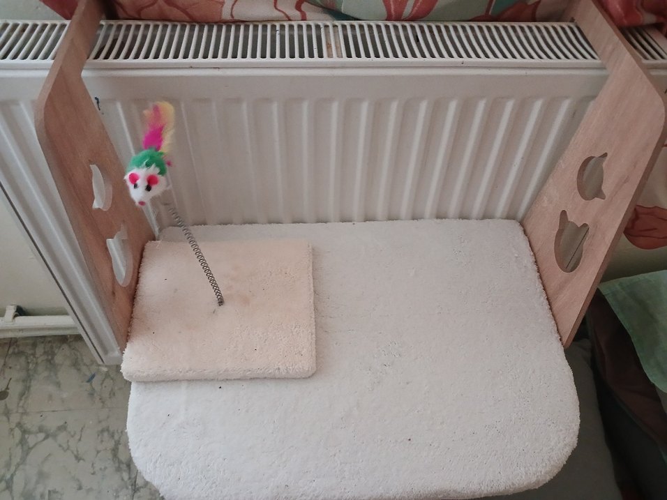 kedi yatagı - Görsel 2