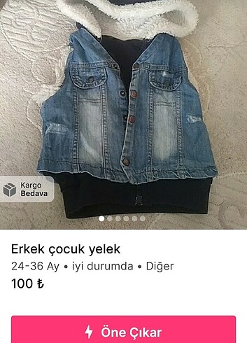 Diğer Sarı kazak 2/3 yaş