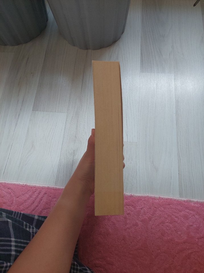 Safahat - Mehmet Akif Ersoy Biyografi Kitabı - Görsel 3