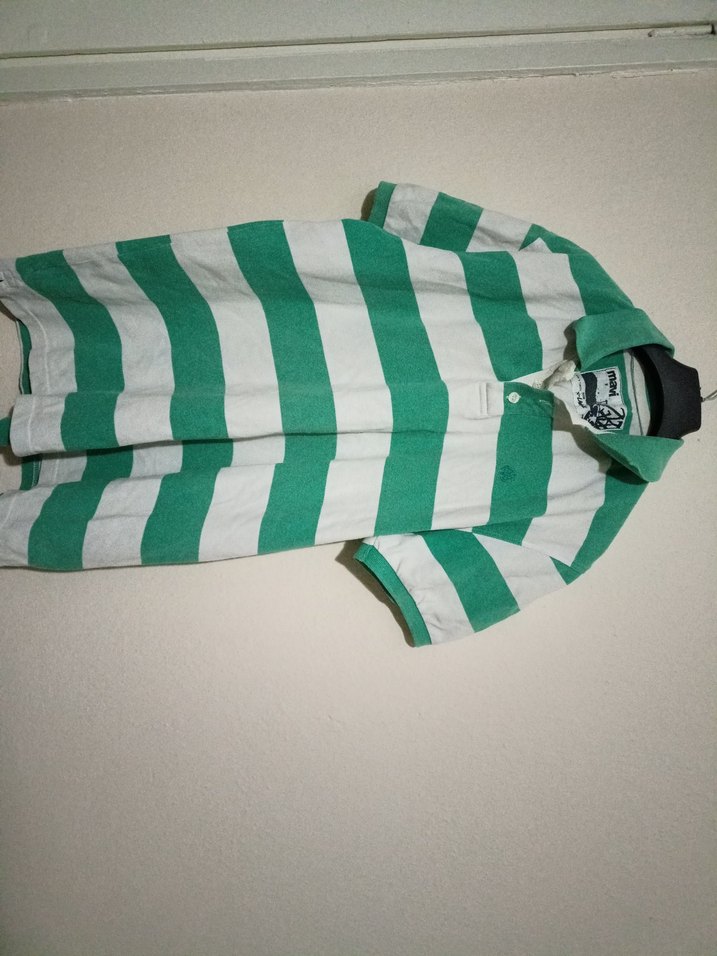 Yeşil Gri Çizgili Erkek Polo Tişört - Görsel 2