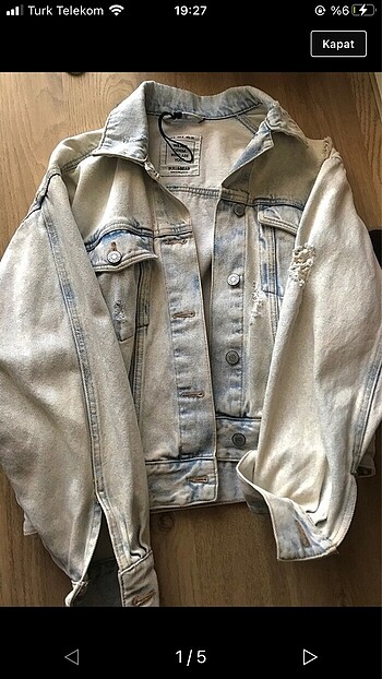 PULLANDBEAR