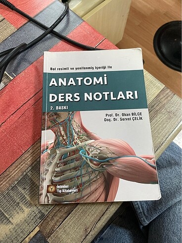Anatomi ders notları