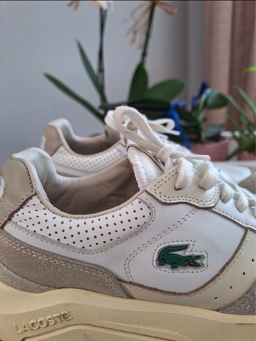 Lacoste ayakkabı