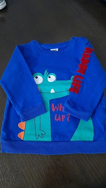 Sweatshirt