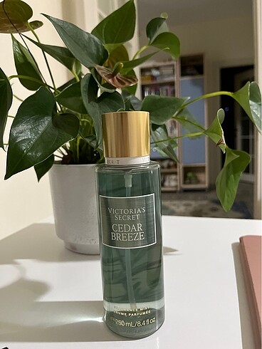 Victorias secret cedar breeze body mist
