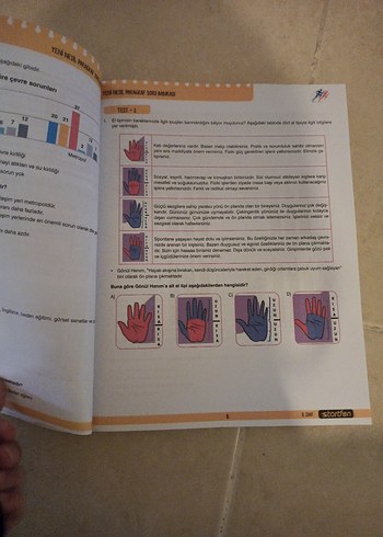 paragraf 8.sınıf - Görsel 7