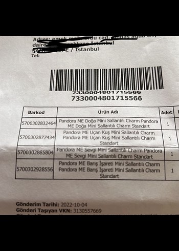 Pandora Me Doğa mini sallantili charm - Görsel 6