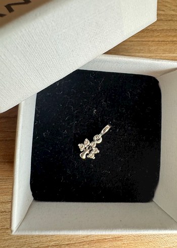 Pandora Me Doğa mini sallantili charm - Görsel 2