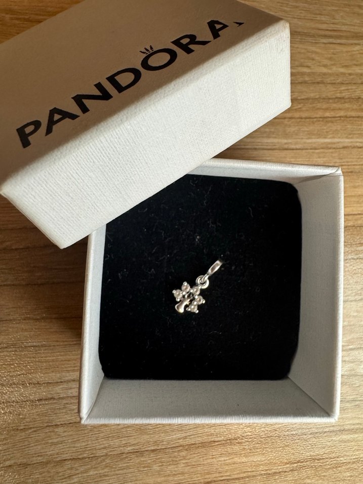 Pandora Me Doğa mini sallantili charm - Görsel 3