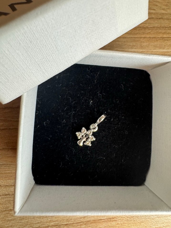 Pandora Me Doğa mini sallantili charm - Görsel 2