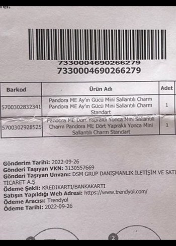 Mavi Boncuklu Ay Pandora Charm - Görsel 5