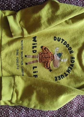 Erkek Çocuk Sweatshirt - Görsel 2