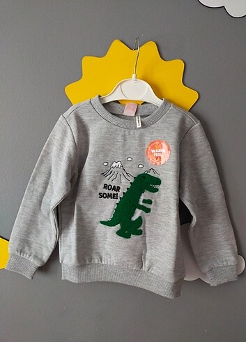 Erkek Çocuk Uzun Kollu Sweatshirt 