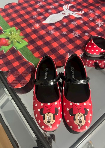 Walt Disney World 28