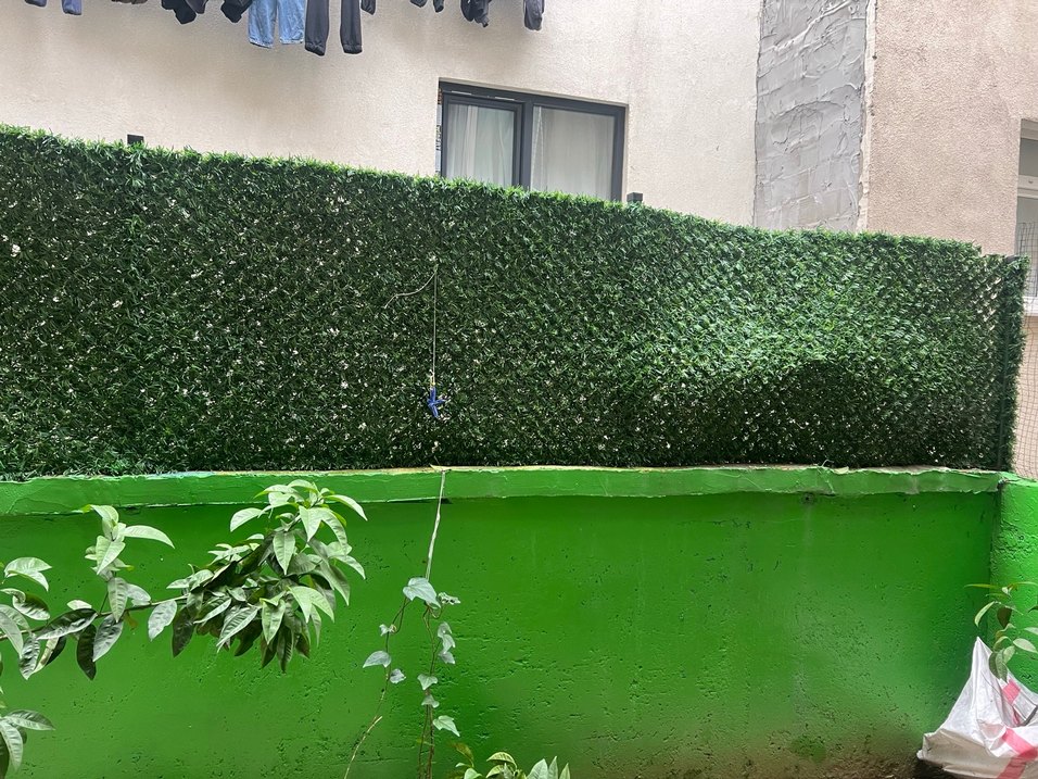 Pahçe çıtı çim yeşillil - Görsel 3