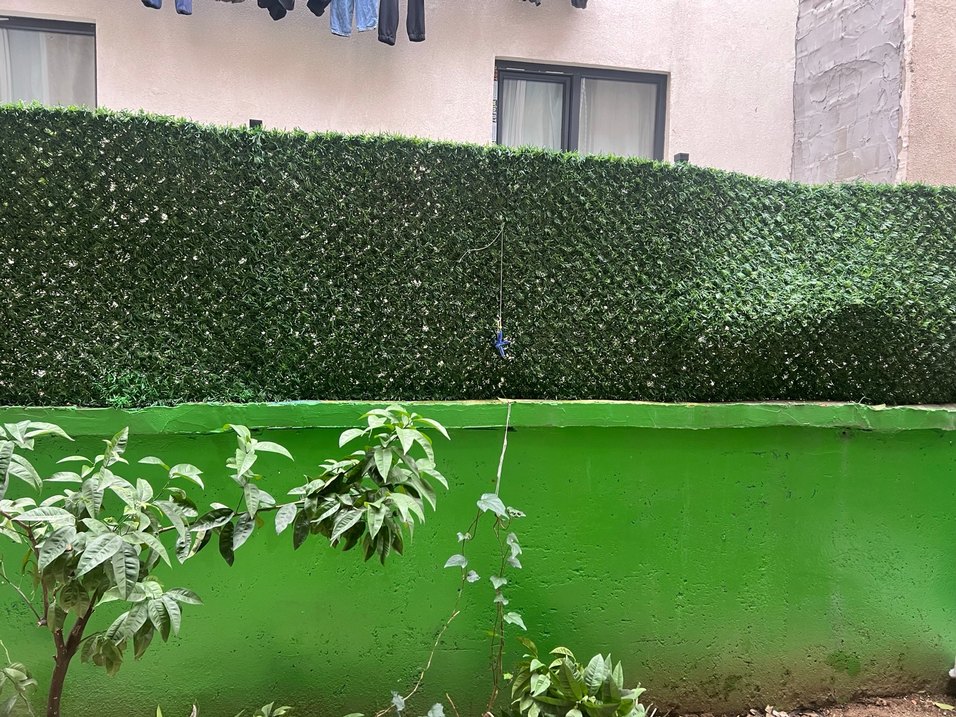 Pahçe çıtı çim yeşillil - Görsel 2