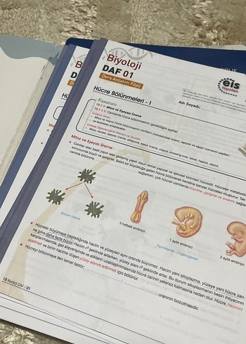 Beden 10. Sınıf Biyoloji Ders Anlatım Föyü(eis yayınları)