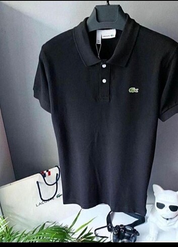 Lacoste Polo yaka Tshirt 