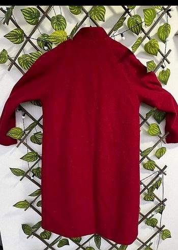 Kadın Kaban - Görsel 2