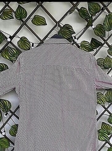 U.S Polo Assn. Gömlek