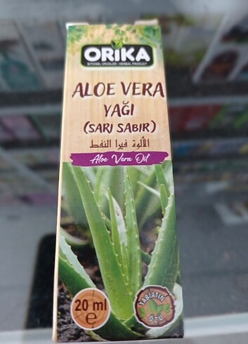 Aloe vera yağı