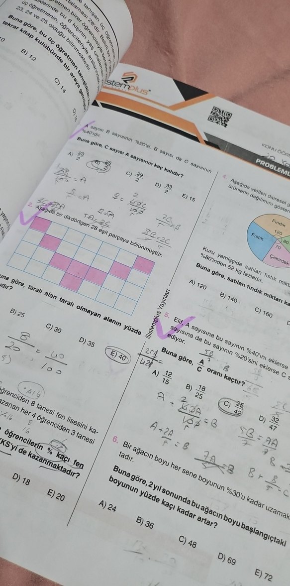 TYT Yeninesil Sorubankası Problemler - Görsel 3