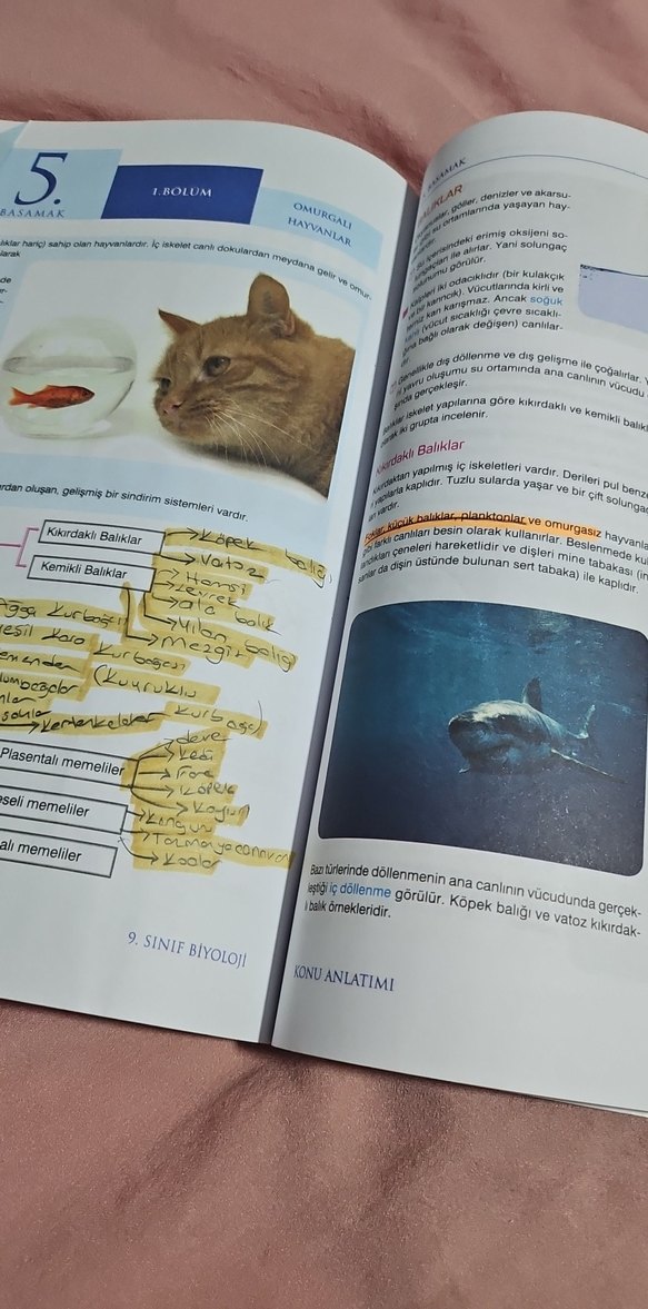 9. Sınıf Biyoloji Konu Anlatımı Kitabı - Görsel 2