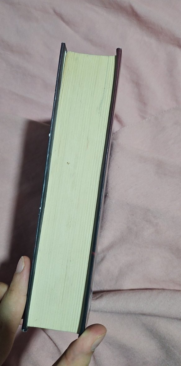 N.G Kabal Lordlar ve Varisler - Görsel 4