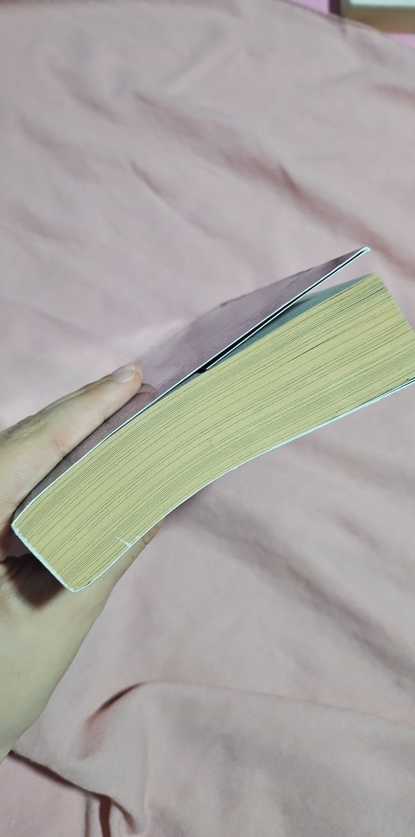 No. 26 - Beyza Alkoç Roman - Görsel 2