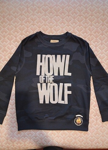  Zara Çocuk sweatshirt