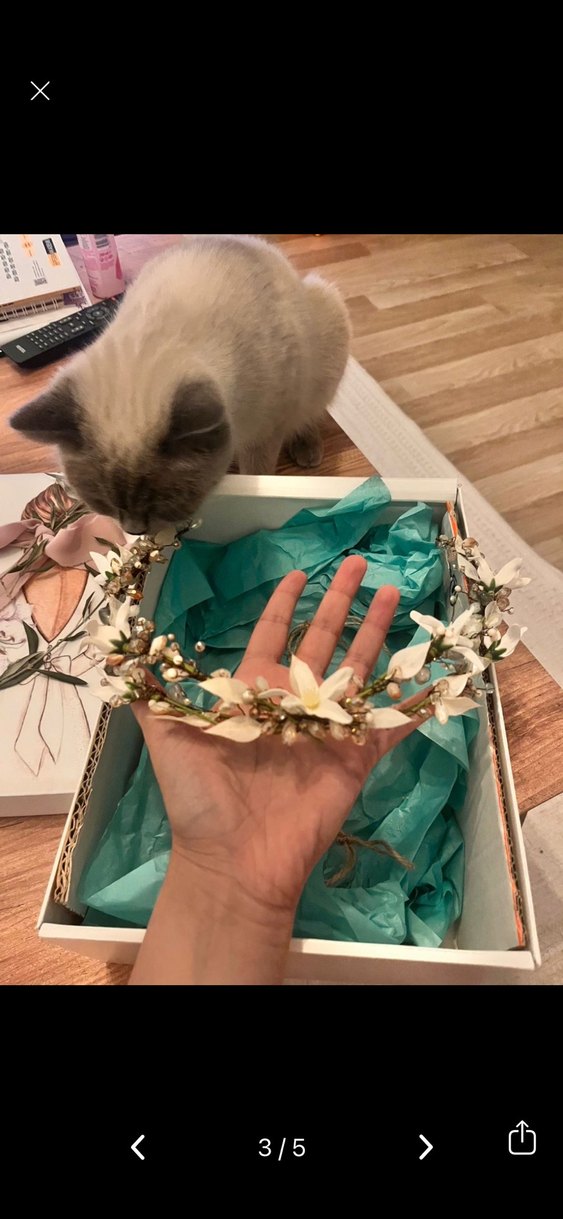 Kurutulmuş  gerçek çiçek Bohem Saç Aksesuarı nişan düğün - Görsel 2