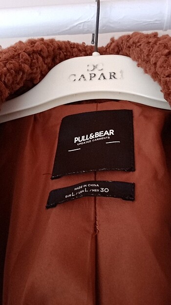 Bayan kaban - Görsel 3