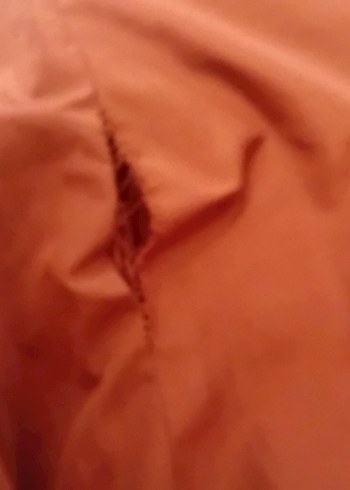 Bayan kaban - Görsel 4