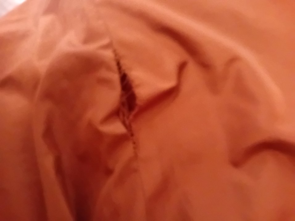 Bayan kaban - Görsel 4